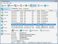 NetStat Agent screenshot